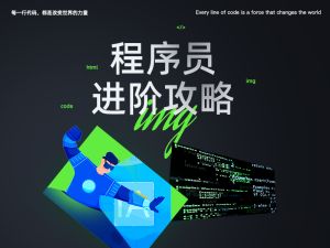 程序员进阶攻略